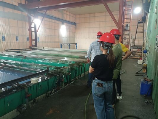 قیمت خوب CDEY Special Lifting Overhead Crane for Aluminum Anodizing Oxidation Line٬٬ کارگاه اکسیداسیون دو گره اتوماتیک کرین مسافرتی سفارشی برای درمان سطح پروفایل آلومینیوم آنلاین